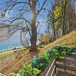 Wildbach Brienz (Bern)