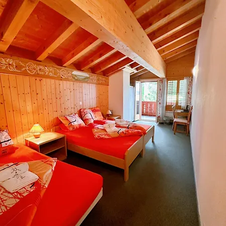 Wildbach Brienz 2* Brienz (Bern)