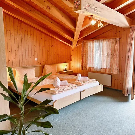 Wildbach Brienz Brienz (Bern)
