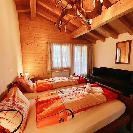 Wildbach Brienz 2* Brienz (Bern)