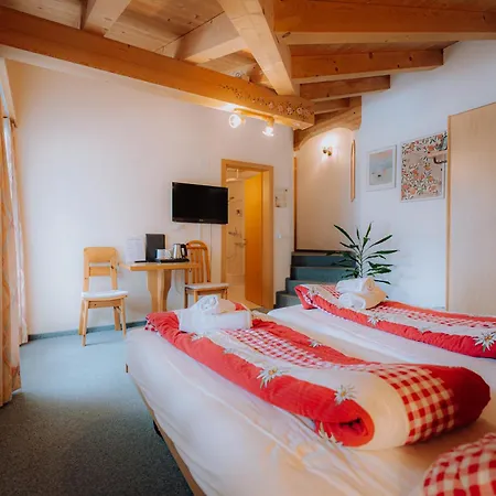 Wildbach Hotel Brienz (Bern)