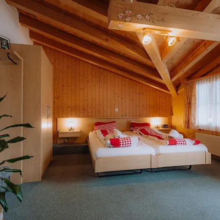 Hotel Wildbach 2*