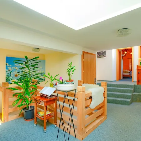 Wildbach Hotel Brienz (Bern)