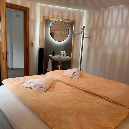 Hotel Wildbach Brienz (Bern)