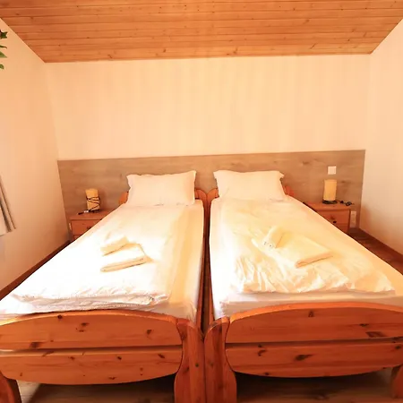 Hotel Wildbach Brienz (Bern)