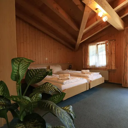 Wildbach Hotel 2*
