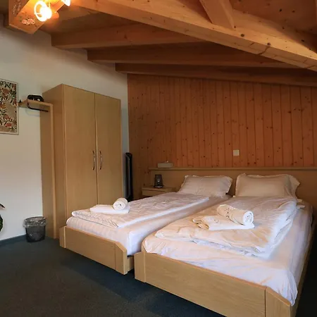 Wildbach Hotel Brienz (Bern)