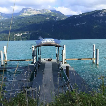 Wildbach Brienz (Bern)