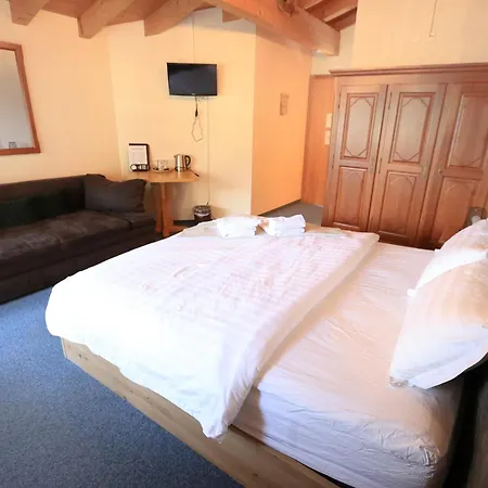 Hotel Wildbach Brienz (Bern)
