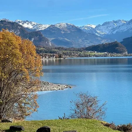 Wildbach - Self Check-in 3* Brienz (Bern)