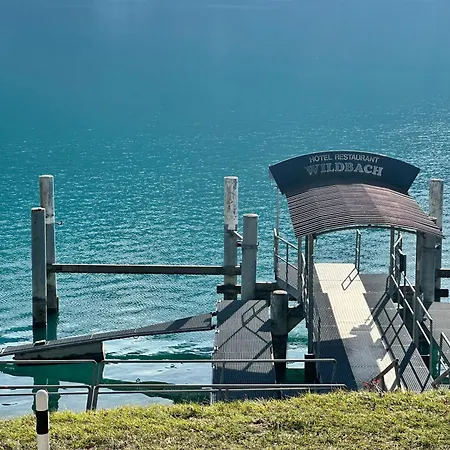 Wildbach - Self Check-in Hotel Brienz (Bern)