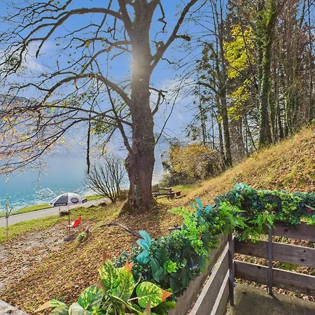 Wildbach Brienz (Bern)