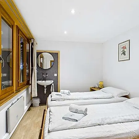 Wildbach - Self Check-in Otel Brienz (Bern)