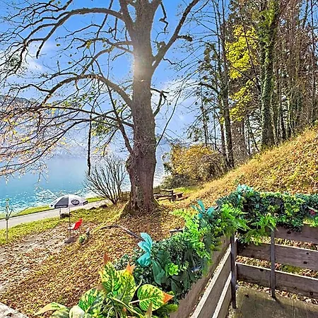 Wildbach - Self Check-in