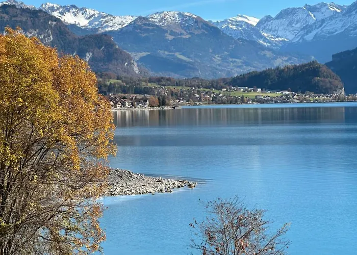 Wildbach 2* Brienz (Bern)