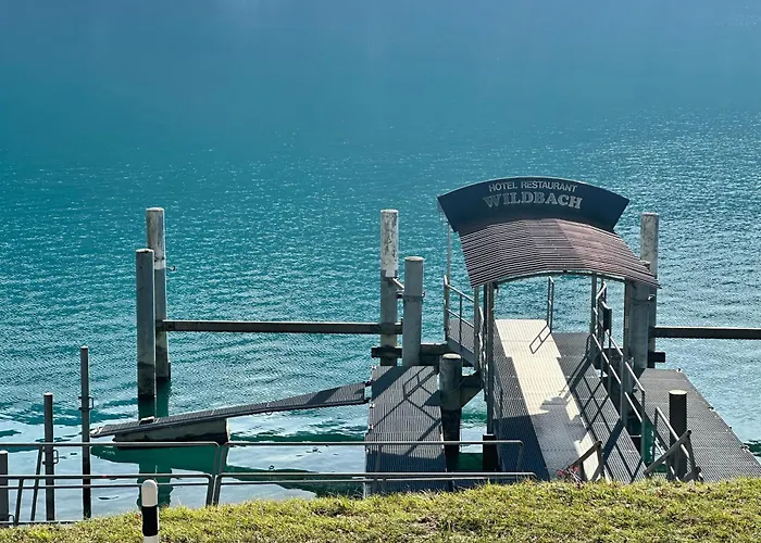 Wildbach מלון ברינץ