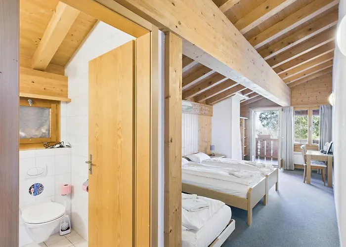 Hotel Wildbach Brienz (Bern)