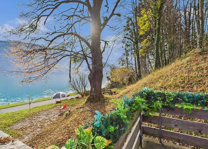 Wildbach Brienz (Bern)