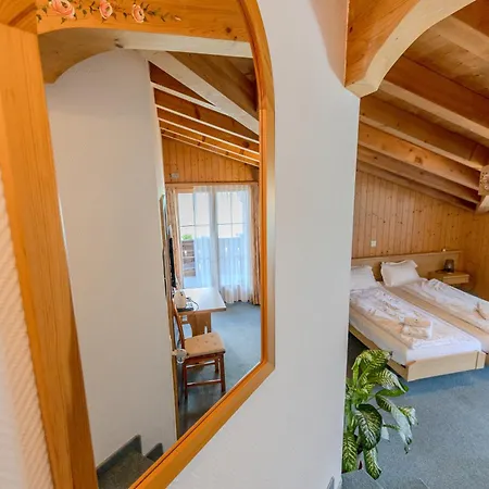 ホテル Wildbach 2*