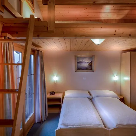 Wildbach ホテル 2*