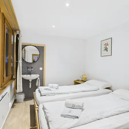 Wildbach ブリエンツ