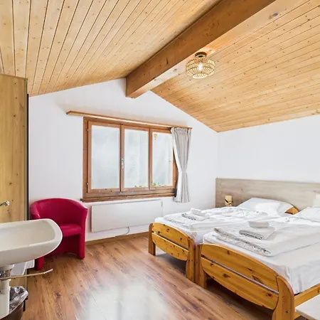 Wildbach ブリエンツ