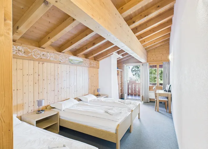Hotel Wildbach Brienz (Bern)