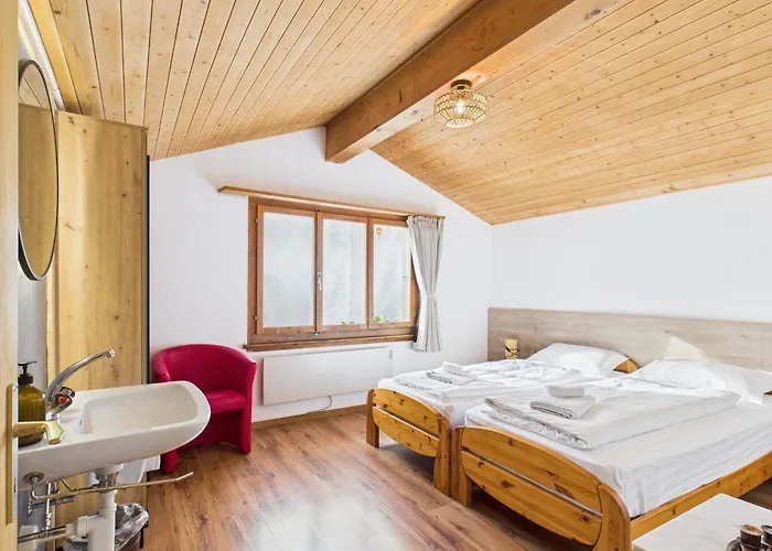 Wildbach Brienz (Bern)