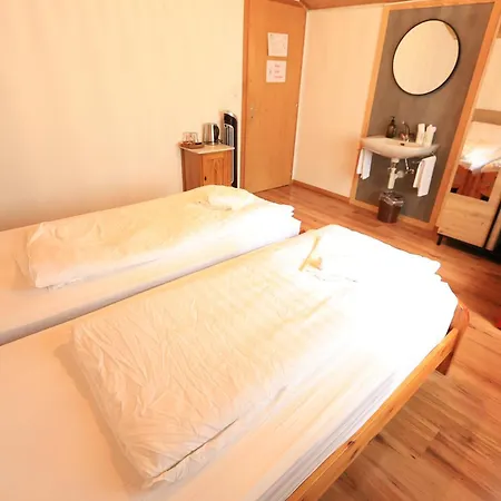 Wildbach Brienz (Bern)