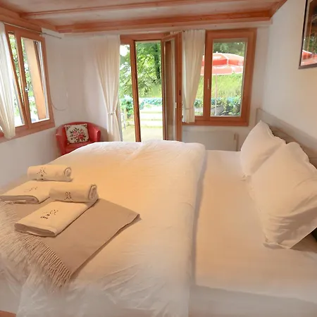 Otel Wildbach Brienz (Bern)