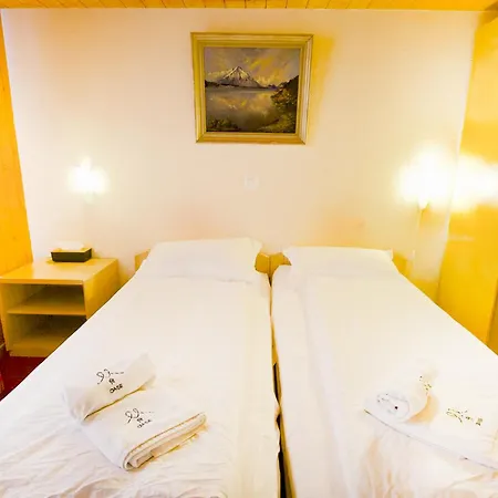 Otel Wildbach Brienz (Bern)