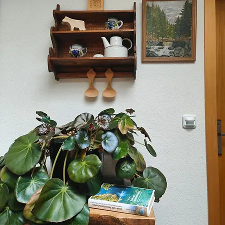 Wildbach 2* Brienz (Bern)