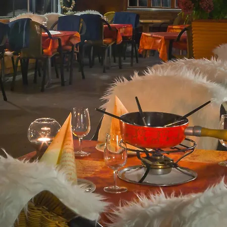 Wildbach Otel Brienz (Bern)