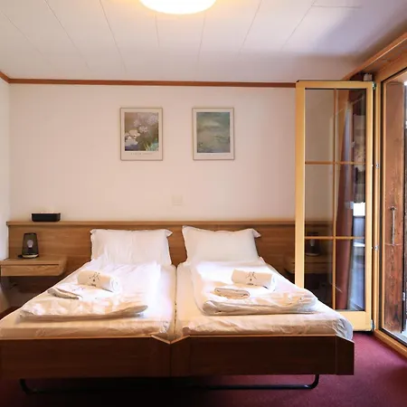 Otel Wildbach Brienz (Bern)