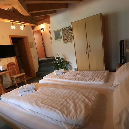 Otel Wildbach Brienz (Bern)