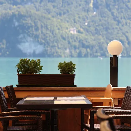 Otel Wildbach Brienz (Bern)