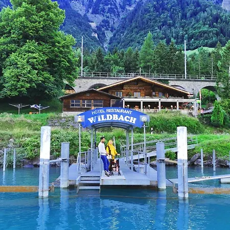 Otel Wildbach Brienz (Bern)