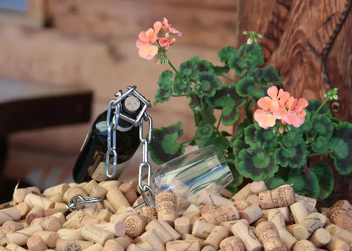 Wildbach Brienz (Bern)