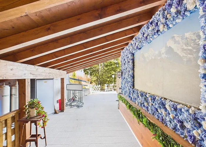 Hotel Wildbach Brienz (Bern)